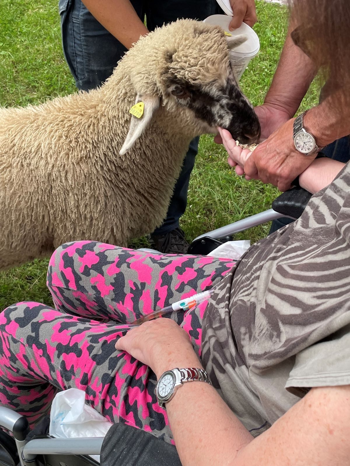 Tierbesuch im Hospiz Germering