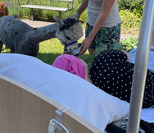 Tierbesuche