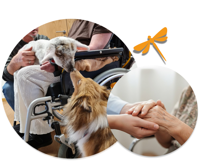 Geborgenheit im Hospiz Germering